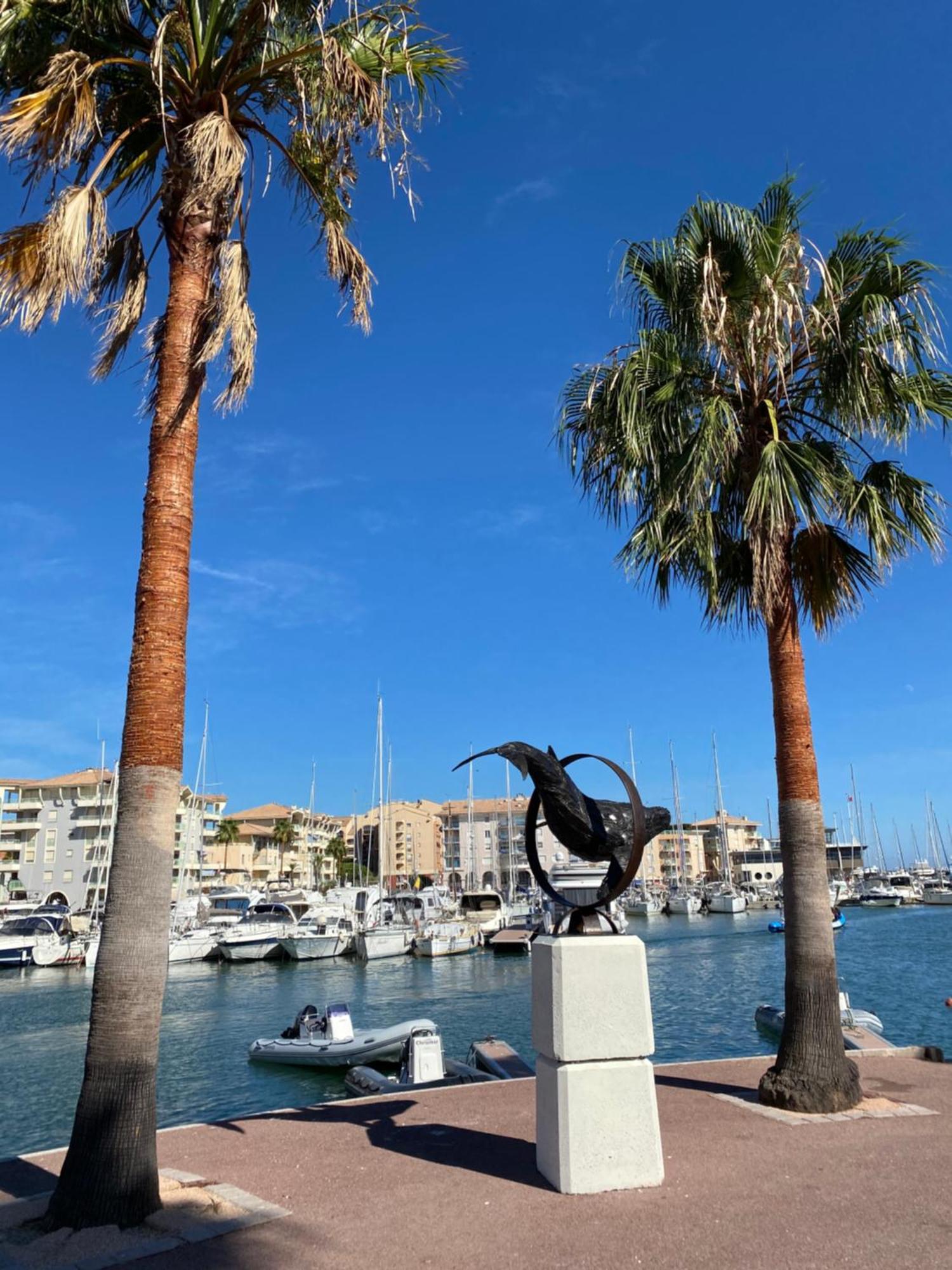 Chez Virginie : Appartement Lumineux Au Calme. Fréjus エクステリア 写真