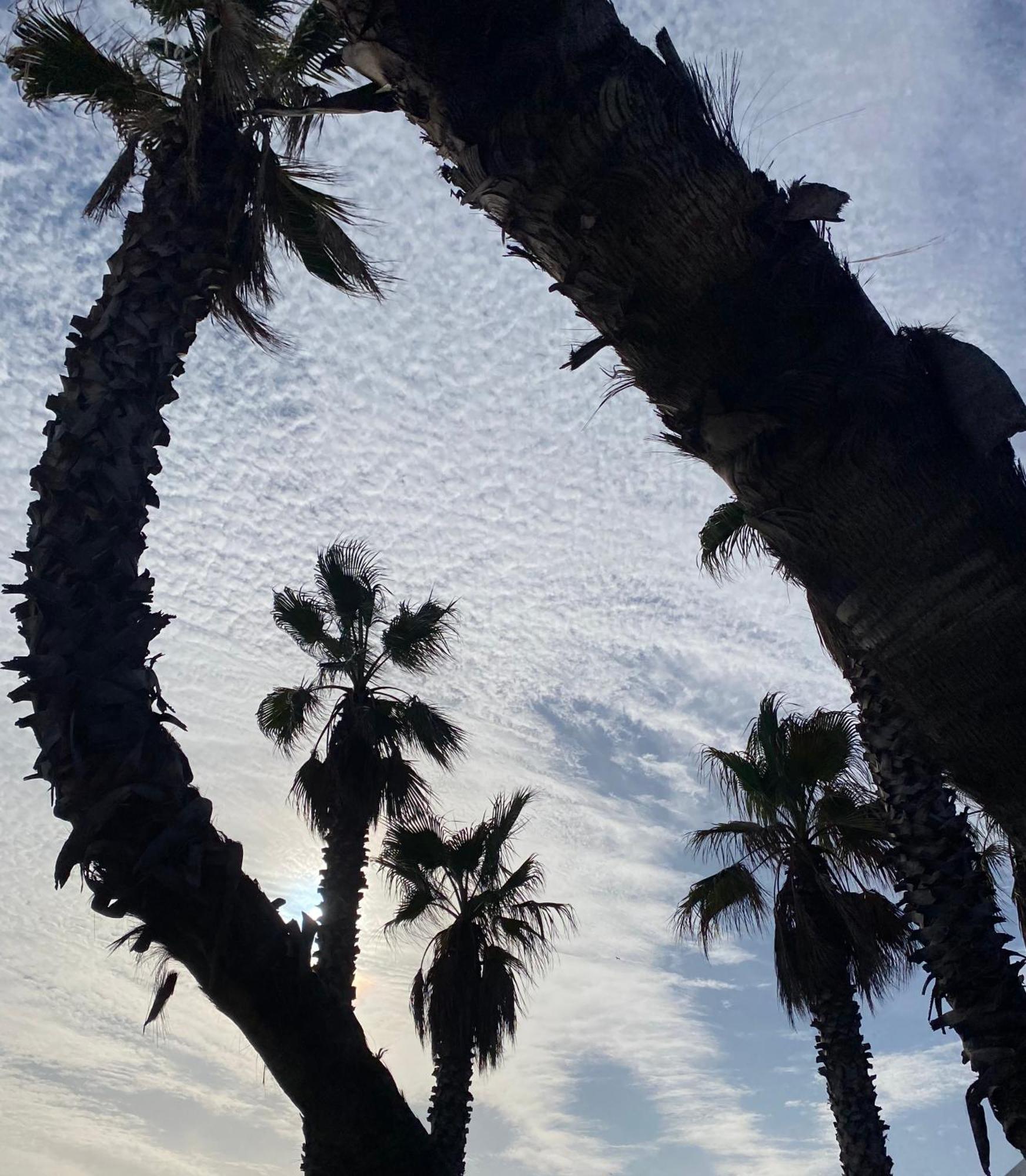 Chez Virginie : Appartement Lumineux Au Calme. Fréjus エクステリア 写真